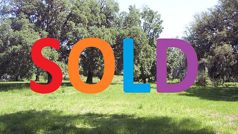 Rusty Creek Owner Financing - Only One 5 Ac Site Left Upscale Scharber Rd, San Antonio, Pasco County Fl  33525 SOLD